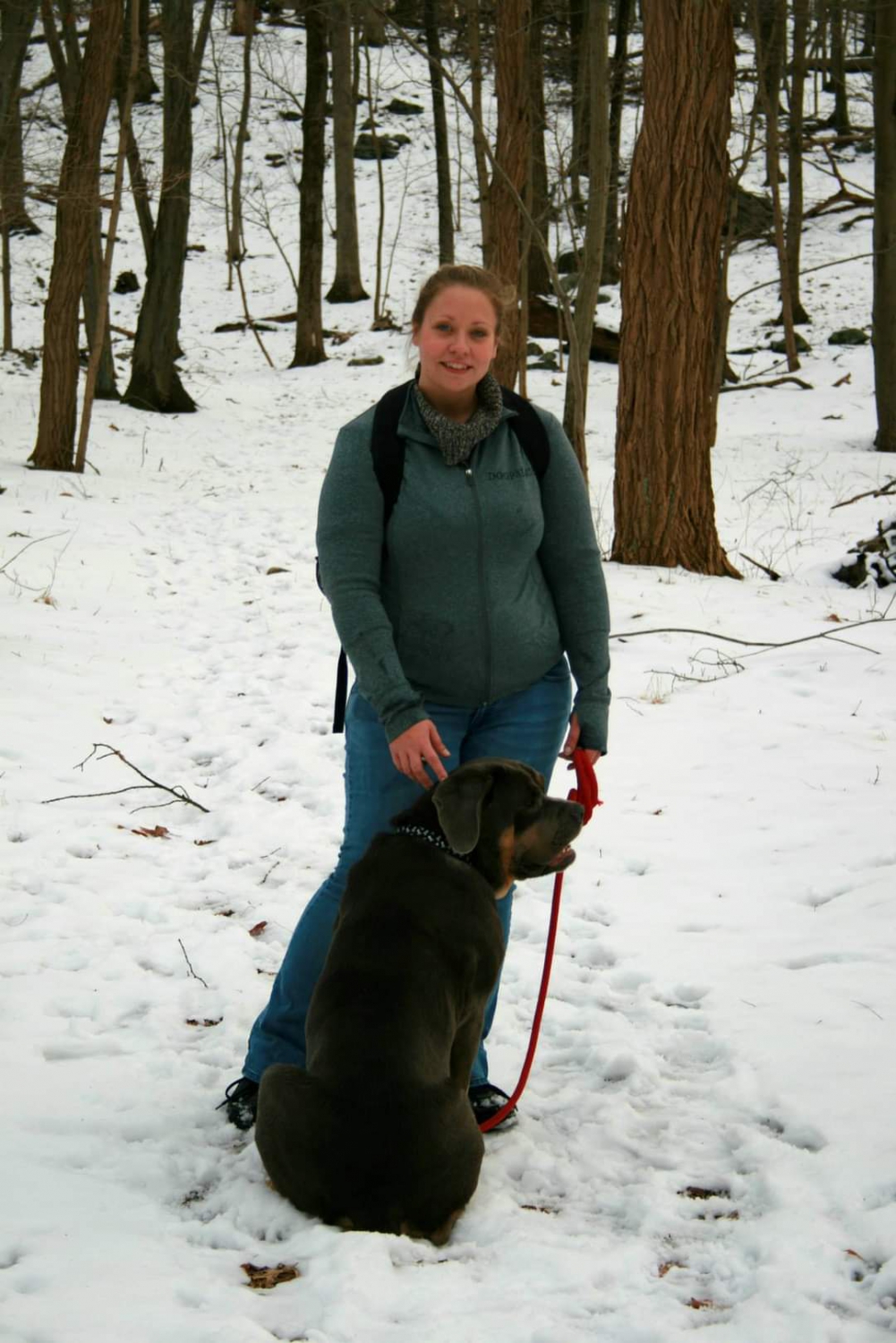 DAWS has a new Lead Dog Trainer Danbury Animal Welfare